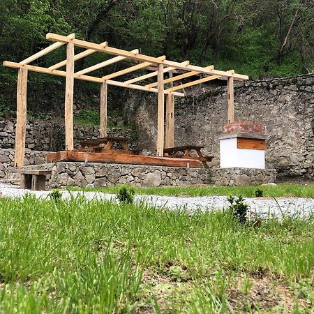 Sasca 362 Ap1 Villa Szászkabánya Kültér fotó